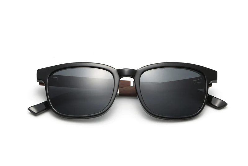 Scott Sunglasses