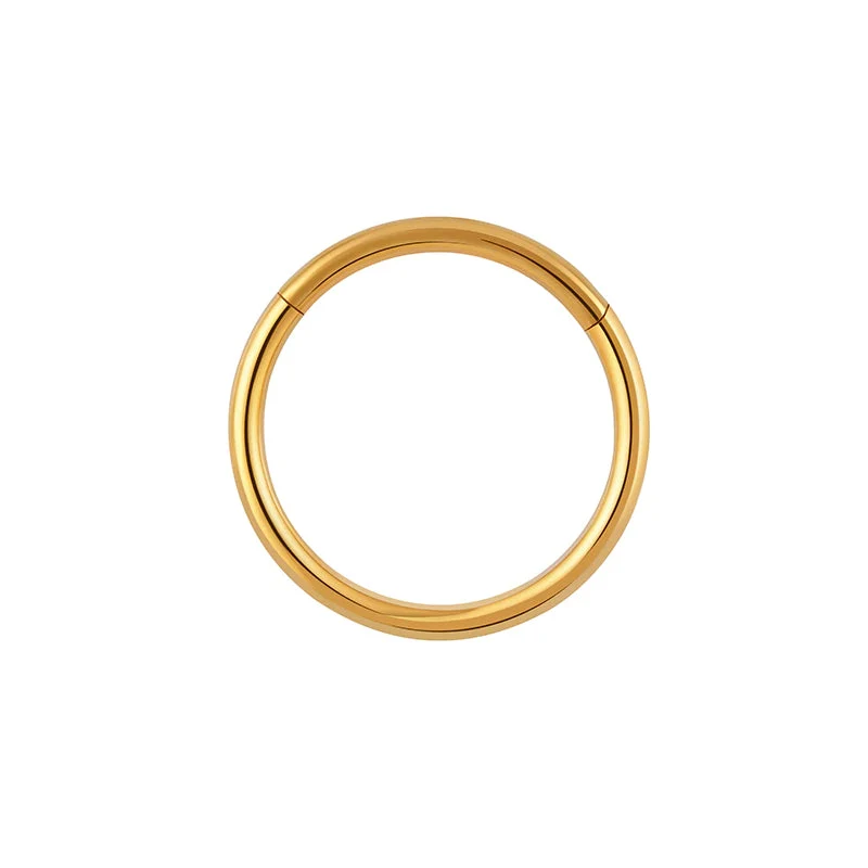 Nose ring hoop 6mm 8mm 10 mm simple and minimalist hinged segment clicker