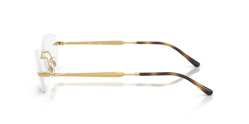 Ray-Ban RX3792V 2500 53