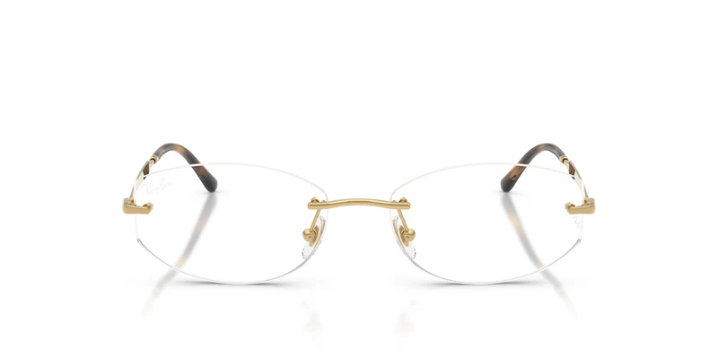Ray-Ban RX3792V 2500 55