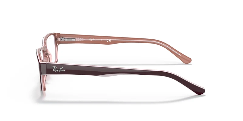Ray-Ban RX5169 8120 52