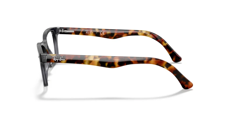 Ray-Ban RX5228 5629 55