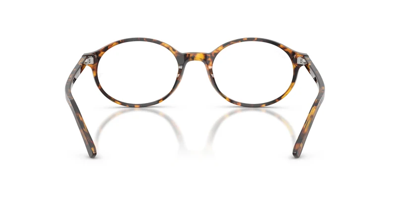 Ray-Ban RX5429 GERMAN 8536 51