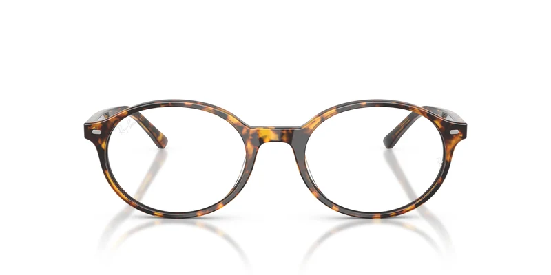 Ray-Ban RX5429 GERMAN 8536 51
