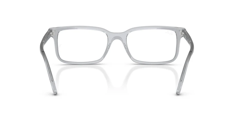 Ray-Ban RX5445 8225 54