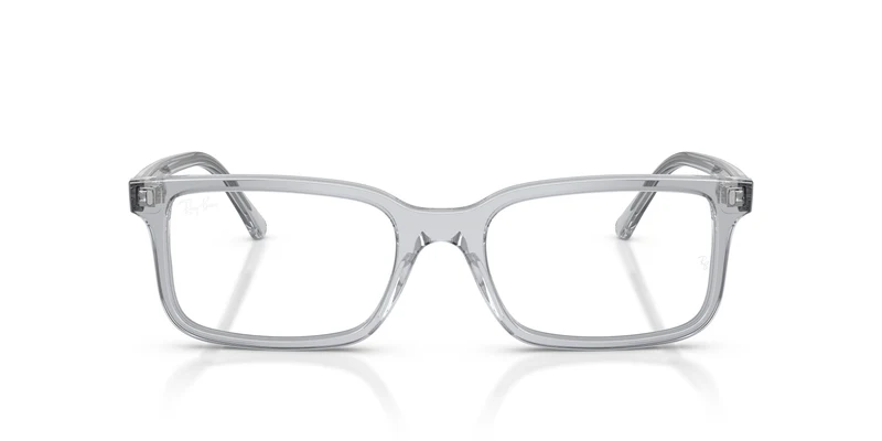Ray-Ban RX5445 8225 54
