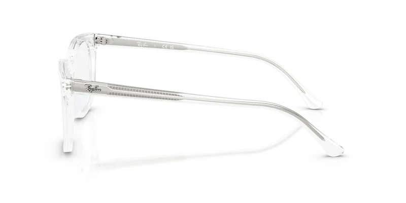 Ray-Ban RX5446 2001 51