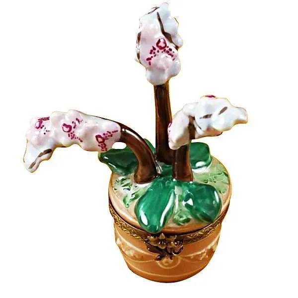 Orchid Limoges Box by Rochard™