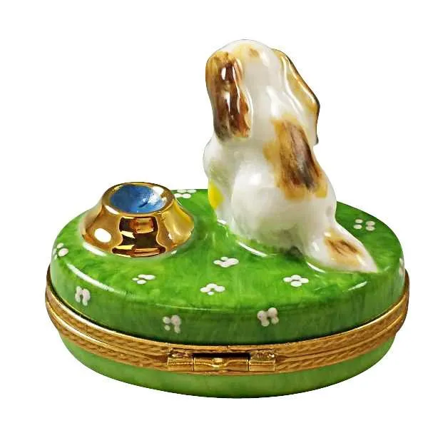 Spaniel Puppy with Bowl Limoges Box by Rochard™