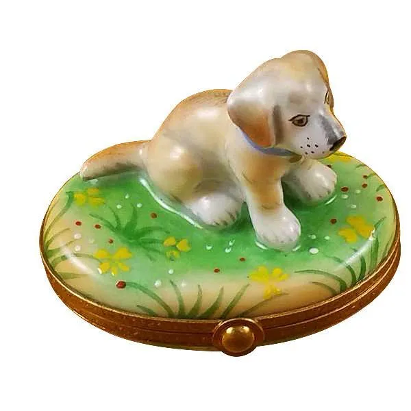 Blond Labrador Limoges Box by Rochard™
