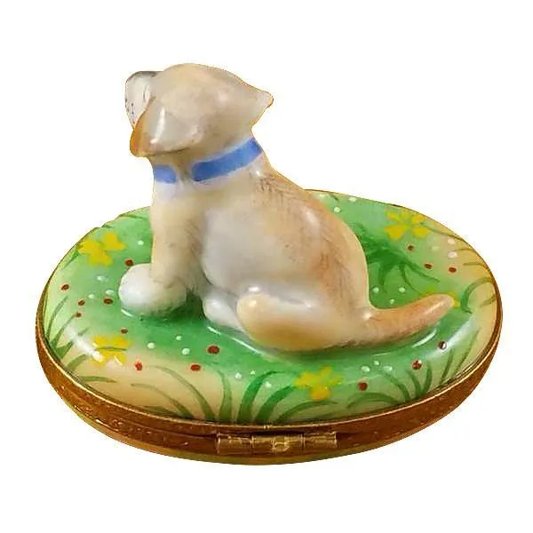 Blond Labrador Limoges Box by Rochard™