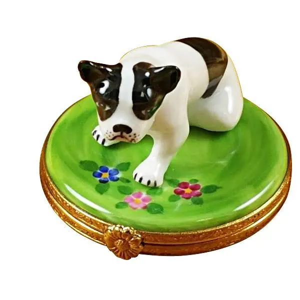 Boston Terrier Limoges Box by Rochard™