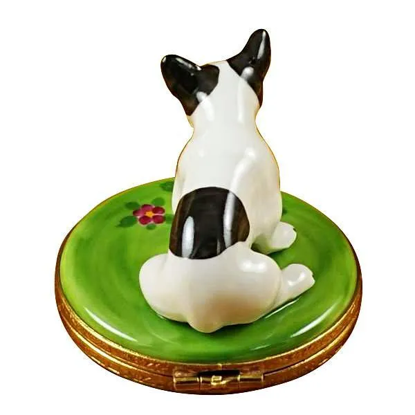 Boston Terrier Limoges Box by Rochard™