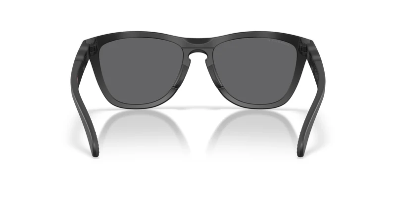 Oakley Frogskins Range Xl 9503 Sunglasses