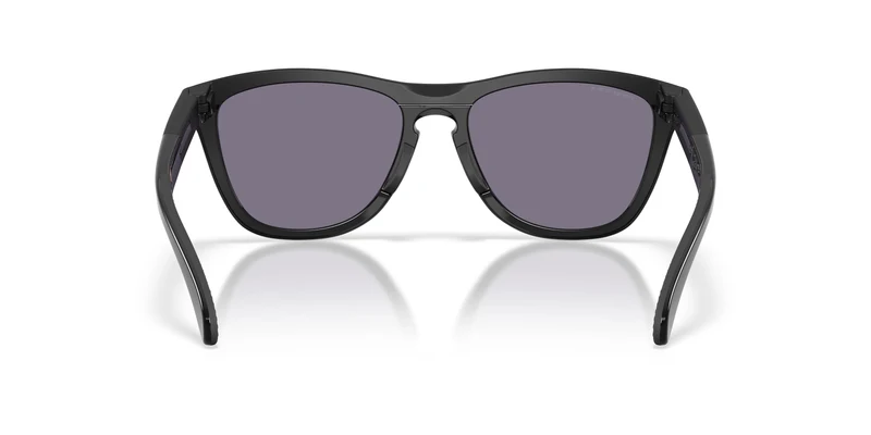 Oakley Frogskins Range Xl 9503 Sunglasses