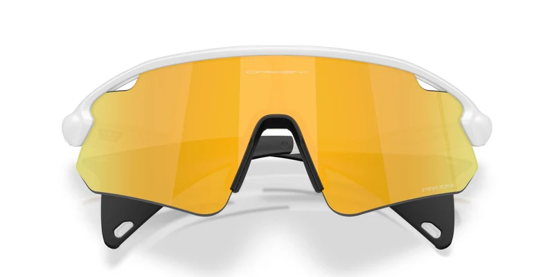 Oakley Stunt Devil A 9525 Sunglasses
