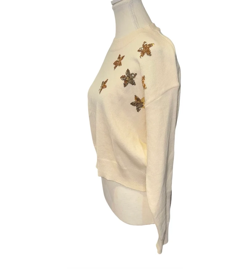 Forever 21 cozy soft sequin star sweater cream knit crop pullover