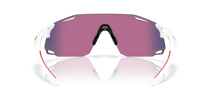 Oakley Cybr Dyno 9513D Sunglasses