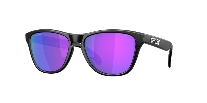 Oakley Frogskins S 9508 Sunglasses