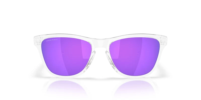 Oakley Frogskins S 9508 Sunglasses
