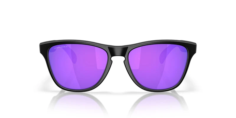 Oakley Frogskins S 9508 Sunglasses