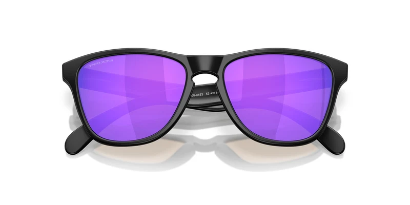 Oakley Frogskins S 9508 Sunglasses
