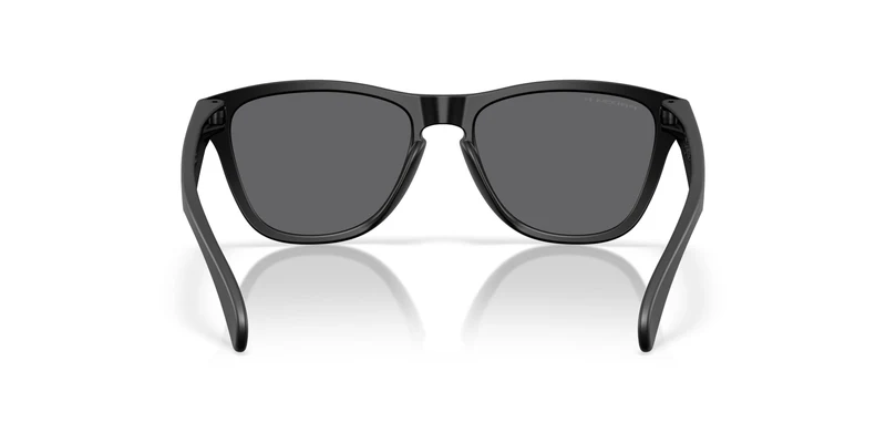 Oakley Frogskins S 9508 Sunglasses