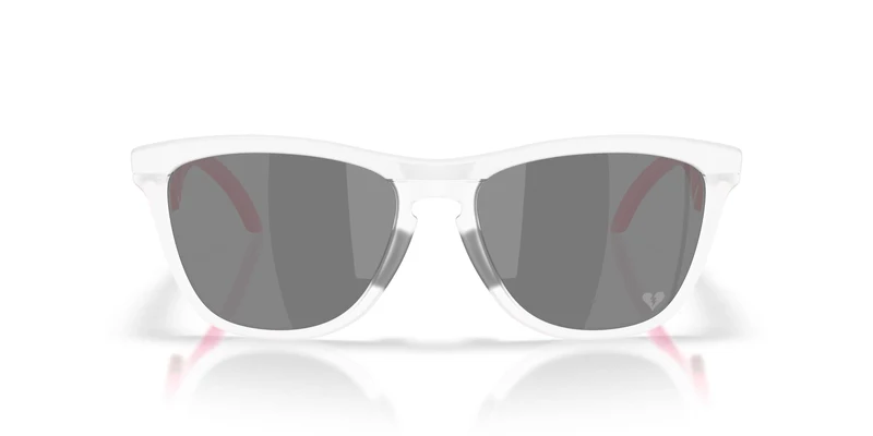 Oakley Frogskins Hybrid 9289 Sunglasses