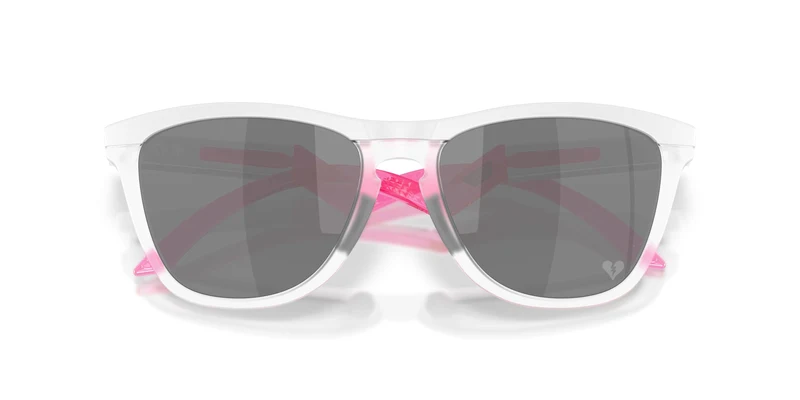 Oakley Frogskins Hybrid 9289 Sunglasses