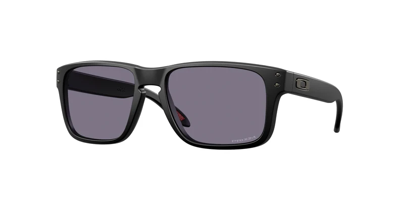 Oakley Holbrook S 9509 Sunglasses