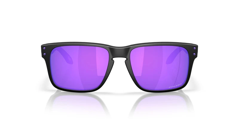 Oakley Holbrook S 9509 Sunglasses
