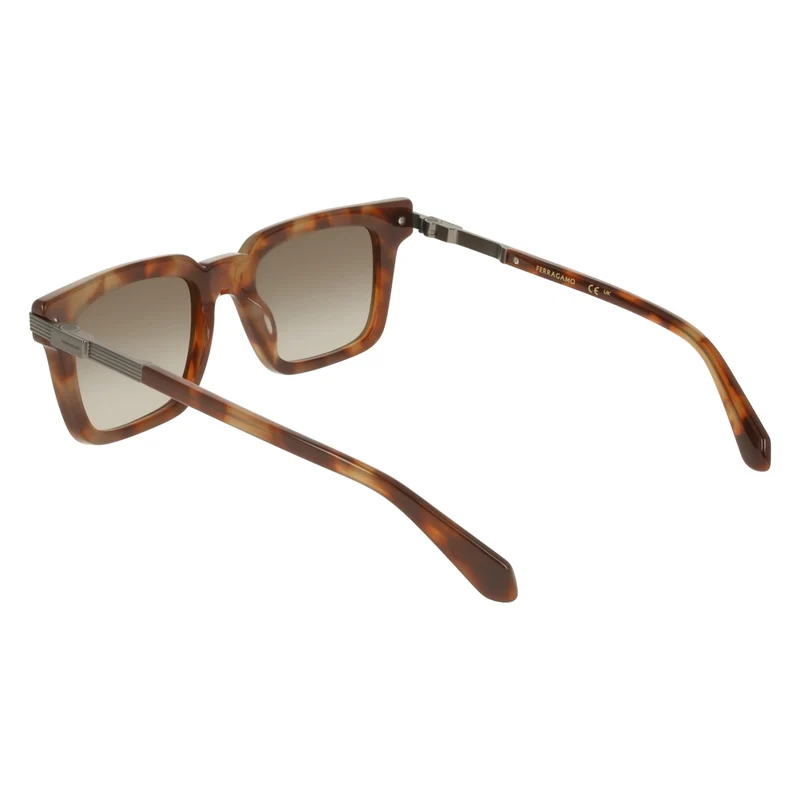 FERRAGAMO SF2103S 225 53