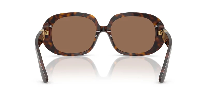 Dolse & Gabana 4476 Sunglasses