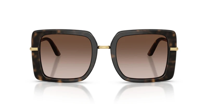 Dolse & Gabana 4491 Sunglasses