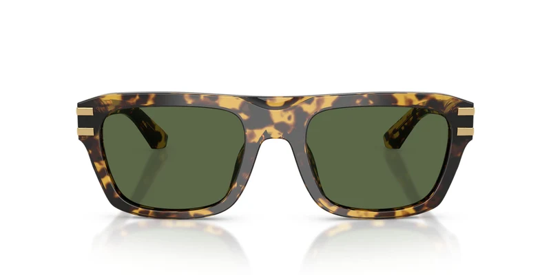 Dolse & Gabana 4496 Sunglasses