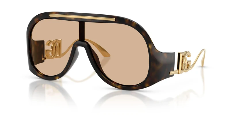 Dolse & Gabana 6202 Sunglasses