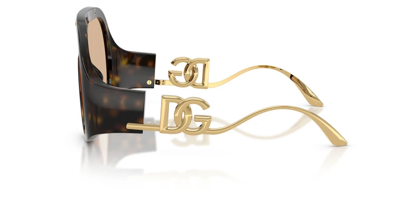 Dolse & Gabana 6202 Sunglasses