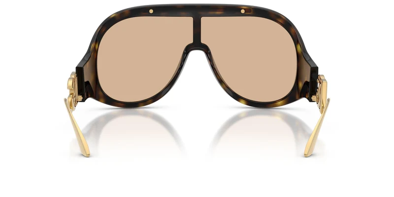 Dolse & Gabana 6202 Sunglasses