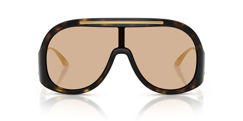 Dolse & Gabana 6202 Sunglasses