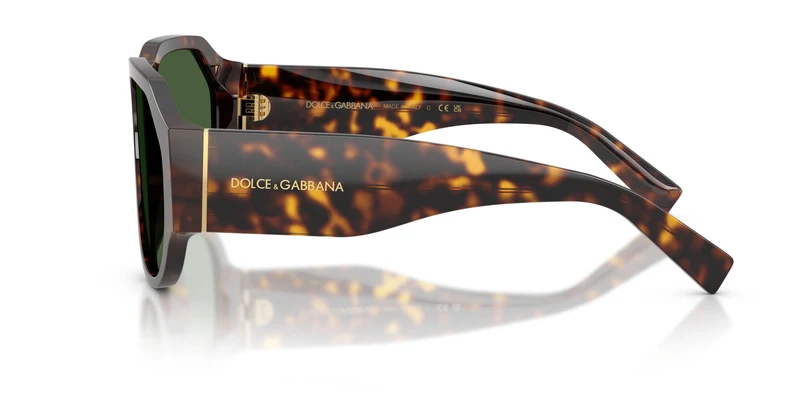 Dolse & Gabana 4504 Sunglasses