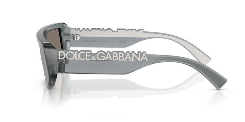 Dolse & Gabana 6203 Sunglasses