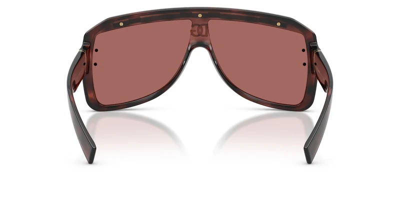 Dolse & Gabana 6205 Sunglasses