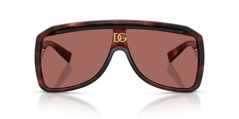 Dolse & Gabana 6205 Sunglasses