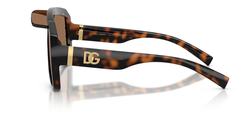 Dolse & Gabana 6205 Sunglasses