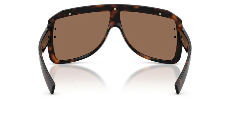 Dolse & Gabana 6205 Sunglasses