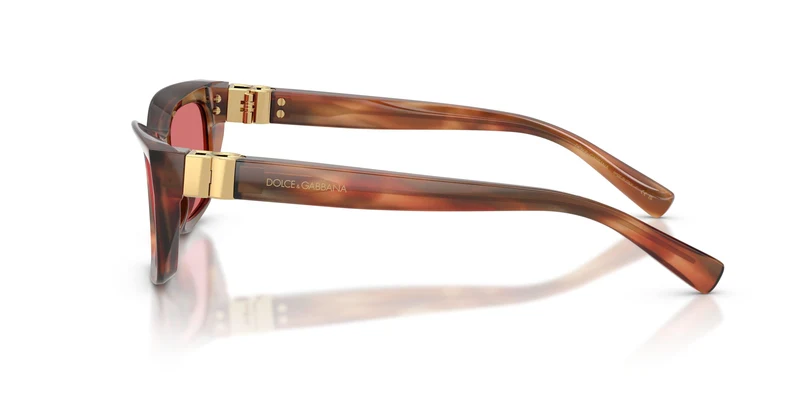 Dolse & Gabana 4532 Sunglasses