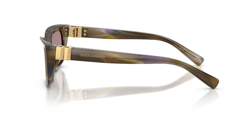 Dolse & Gabana 4532 Sunglasses