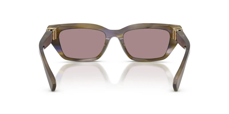 Dolse & Gabana 4532 Sunglasses