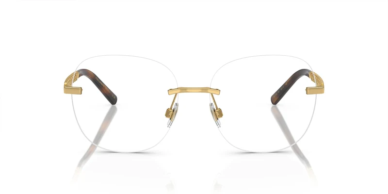 Dolse & Gabana 1352 Eyeglasses