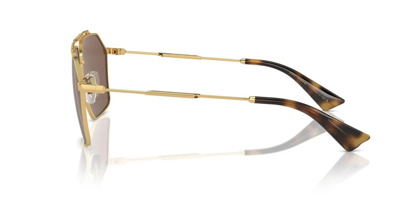 Dolse & Gabana 2303 Sunglasses
